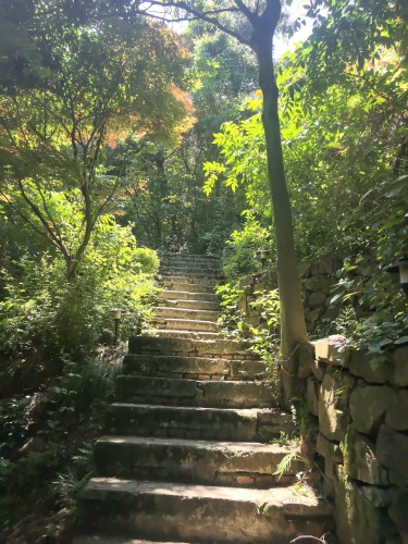 西山景点