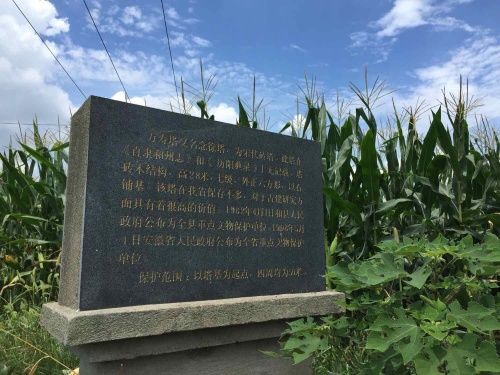 万寿塔旅行图片 1