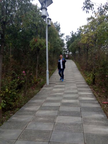 凤凰山梯道旅行图片 3