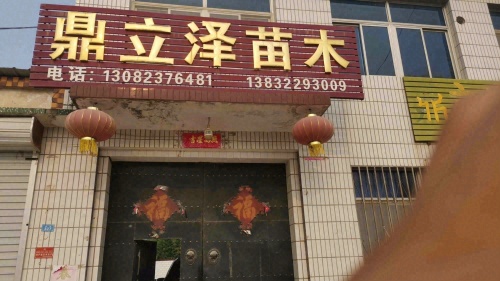 禄森园林绿化有限公司