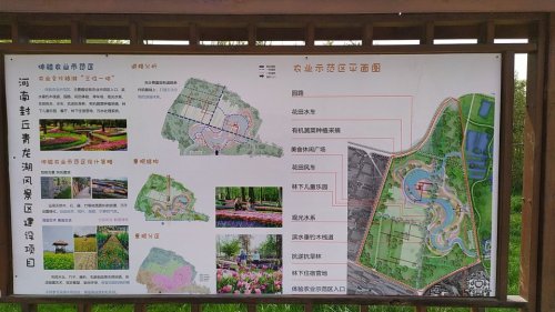 黄河湿地鸟类国家级自然保护区旅行图片 2