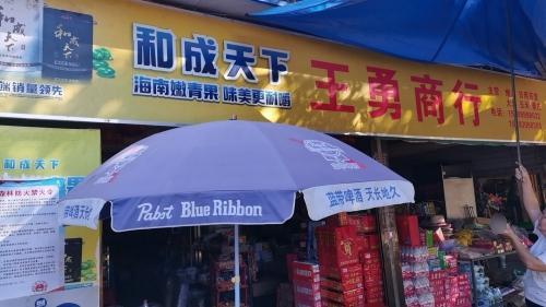 王勇副食店