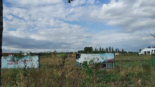 花大沈旅行图片 1