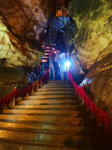 官马森林公园旅行图片 2