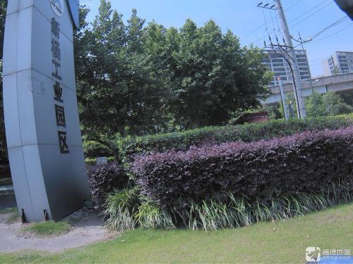新杨工业园区实景图