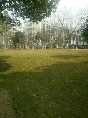 长江公园旅行图片 2
