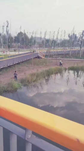 清凉湾湿地公园旅行图片 3