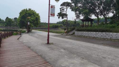 鲤鱼岗森林公园旅行图片 2