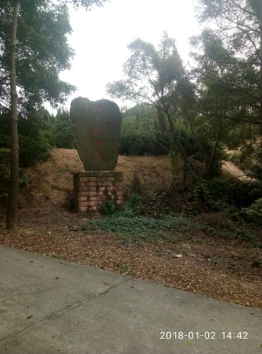 桃源植物园旅行图片 3