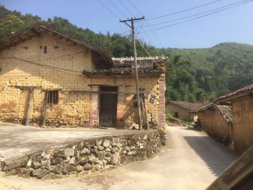深坑蛇影旅行图片 2