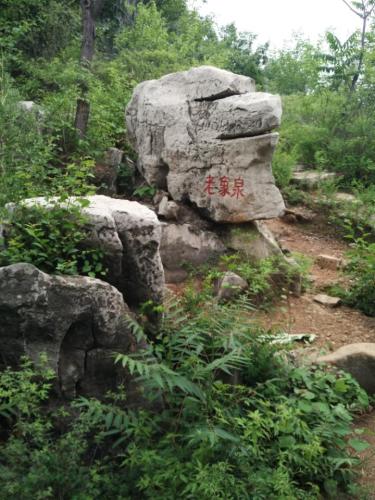 元古奇石林风景区旅行图片 1