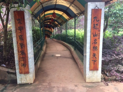 桃花岩旅行图片 1