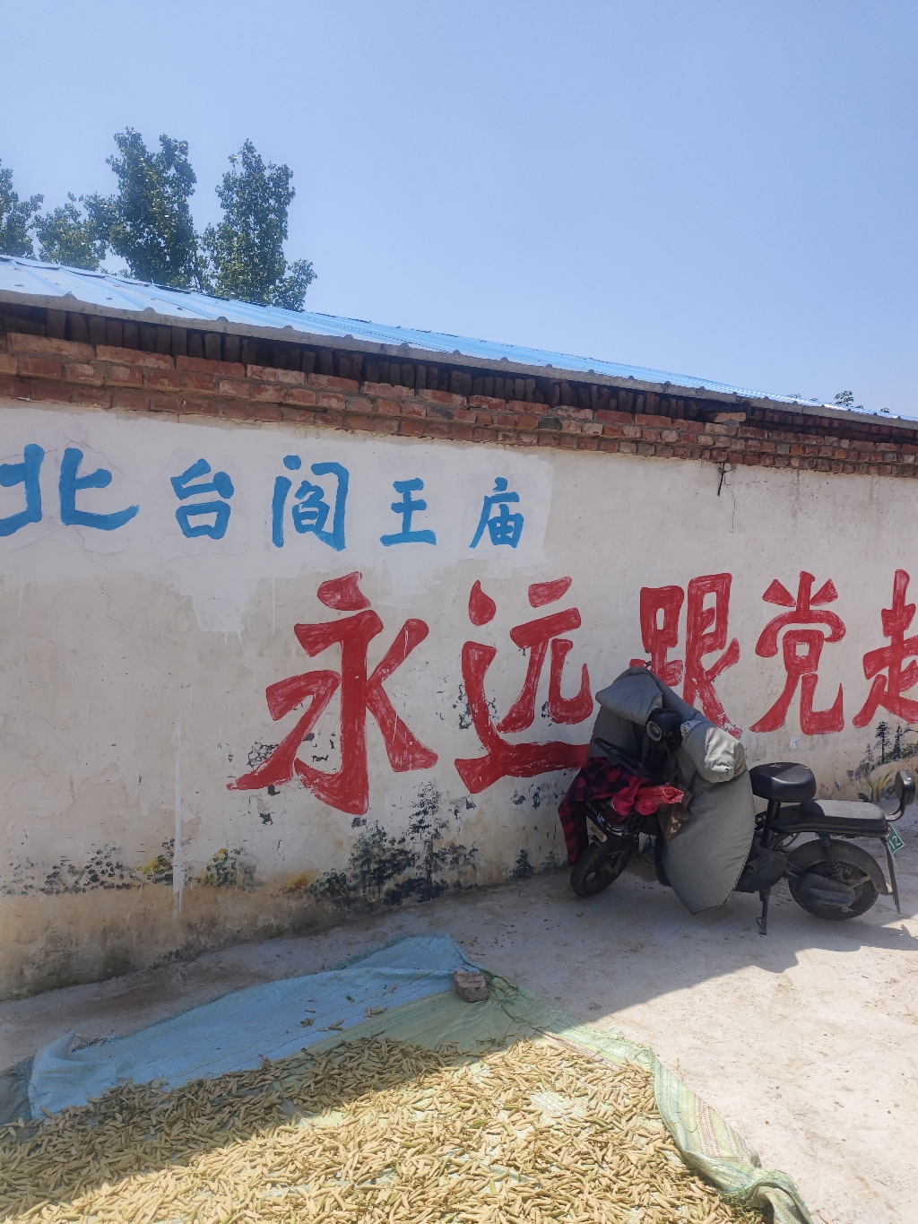 北台阎王庙实景照片