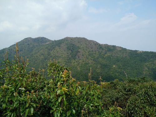 贡鸭山生态森林园旅行图片 2