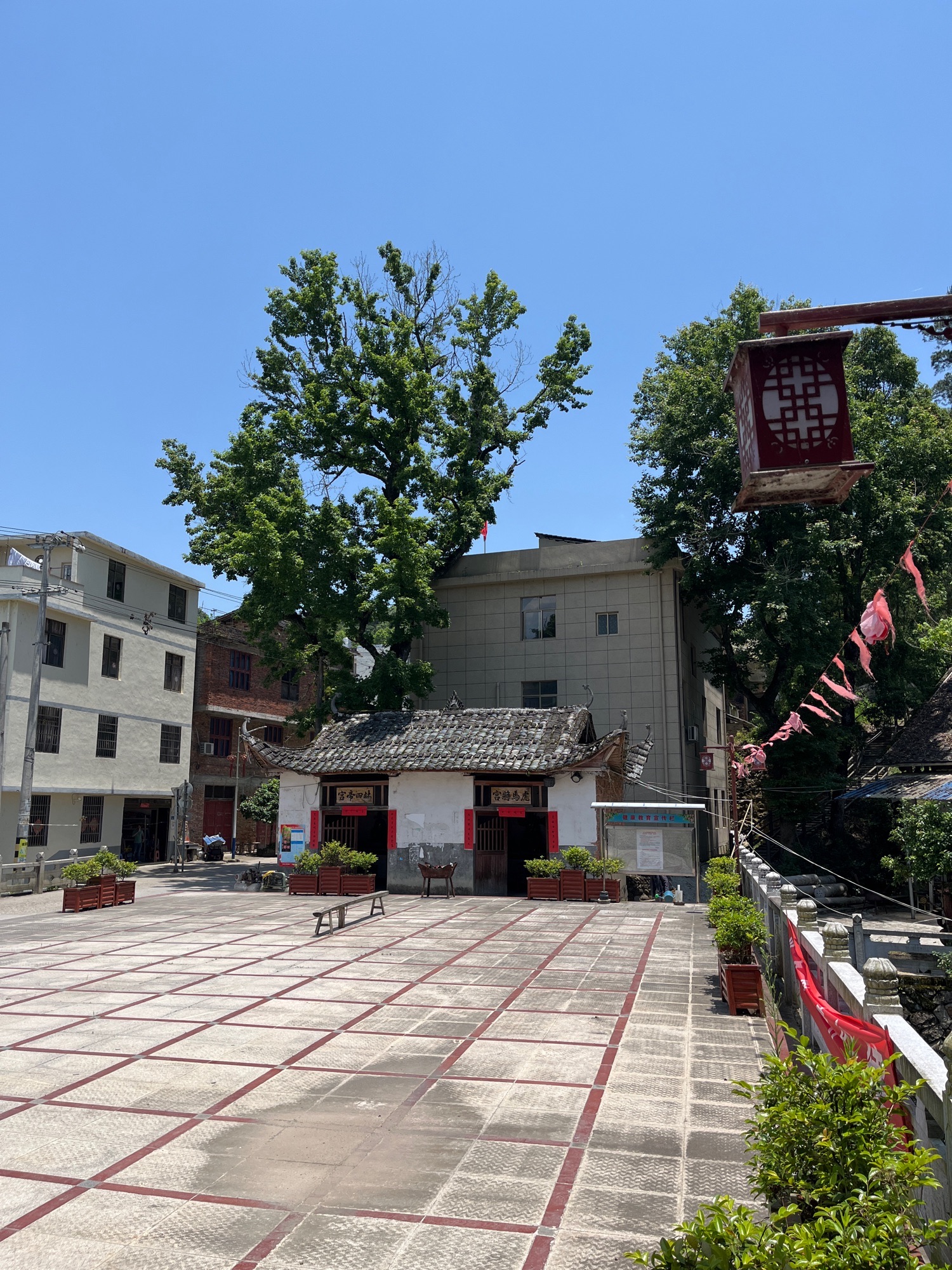 虎马将宫实景照片