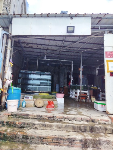 涛哥海鲜店