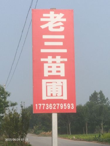 老三苗圃