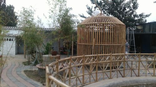 堤上草莓主题公园旅行图片