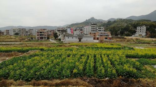 良佺古民居旅行图片 3