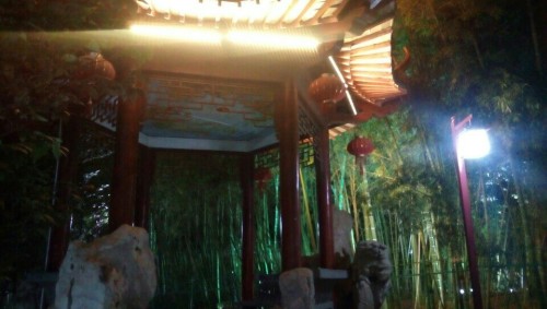 石羊公园旅行图片 3