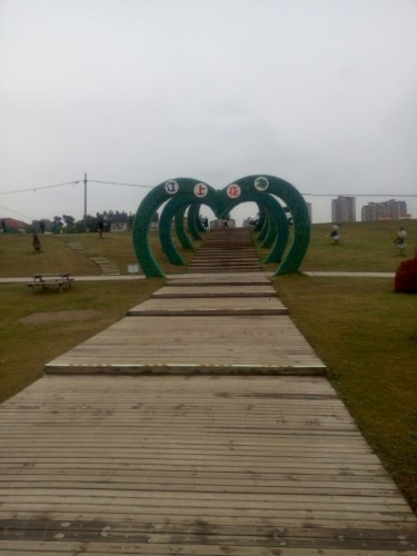 湿地公园旅行图片 2