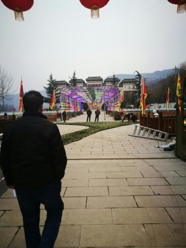 九龙槐旅行图片 2