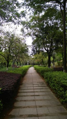 罗田社区公园旅行图片 1