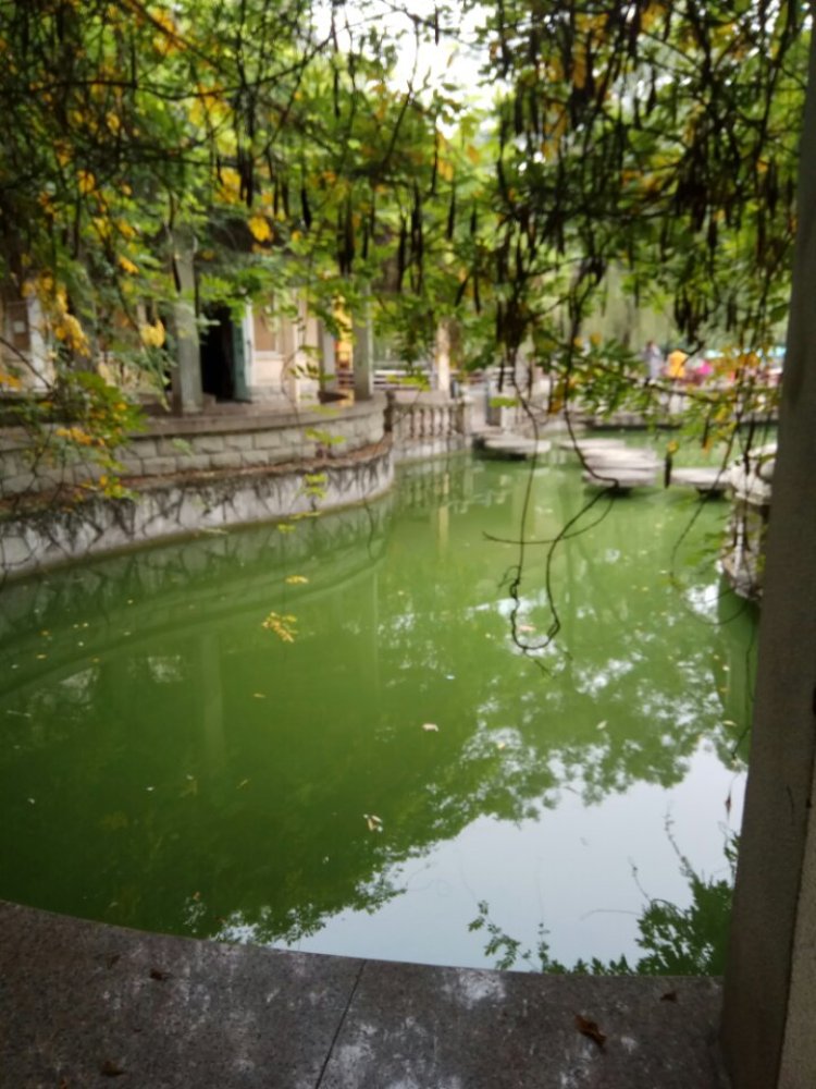 绵阳市人民公园景点图片
