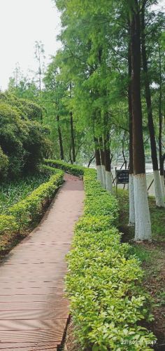 进喜园旅行图片 1