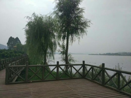 水岸果乡湿地公园旅行图片 2