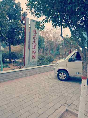 桂花大道游园旅行图片 3