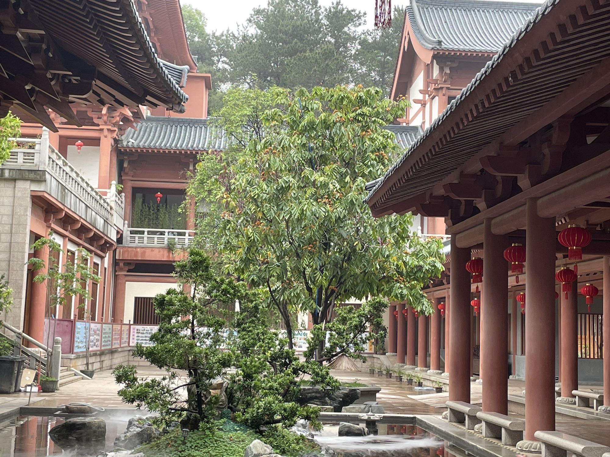 紫云阁-天王殿实景照片