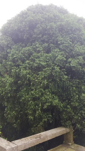 含鄱口 景点照片