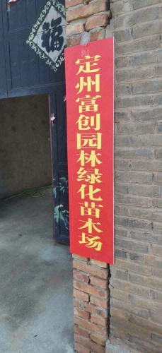 定州富创园林绿化苗木场