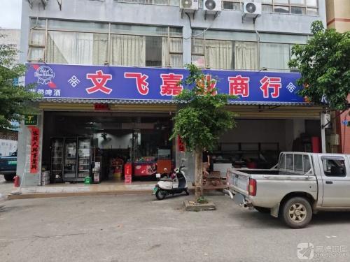 文飞嘉业商行