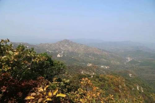 牙山省级自然保护区(不对外开放)旅行图片 3