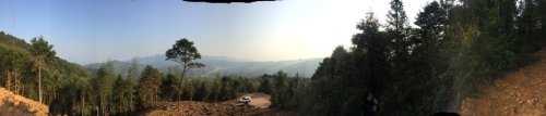 翠山竹海旅行图片 3