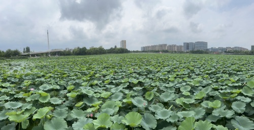 东亭湖公园