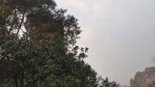 白云岩旅行图片 2