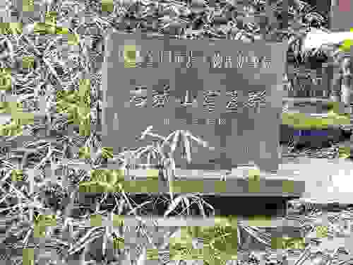 北斗崖宋墓群旅行图片 1