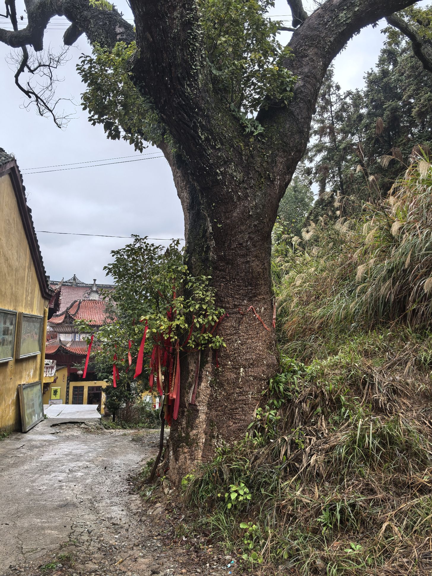 安江长安寺实景照片
