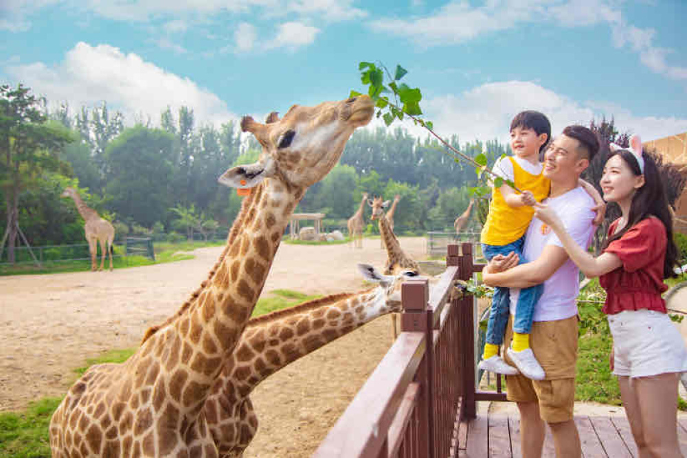 泉城欧乐堡动物王国景点图片