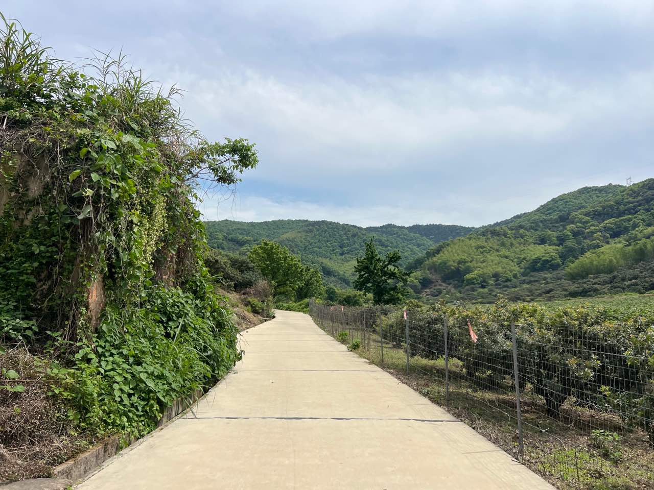 潘岙村生态公园