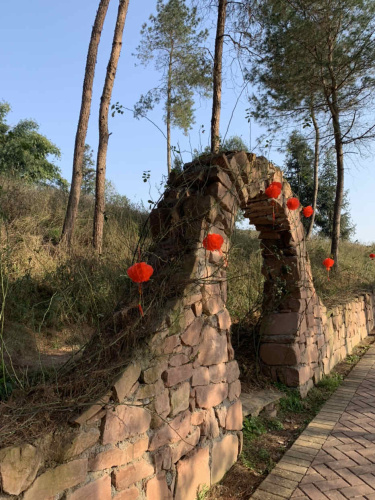 茶园绿道月亮湖旅行图片 3