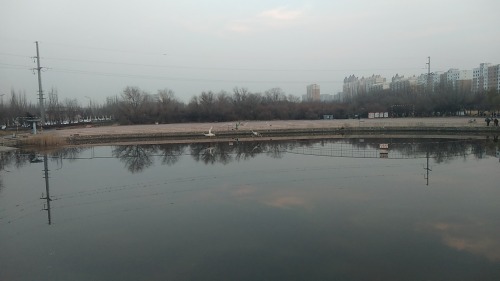 天鹅湖旅行图片 1