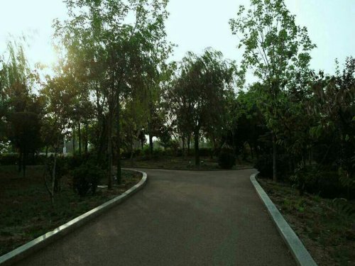 五莲人民公园旅行图片 3