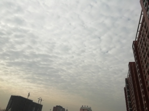 保定市龙潭公园旅行图片 2