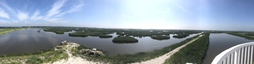 八里湖湿地公园旅行图片 2
