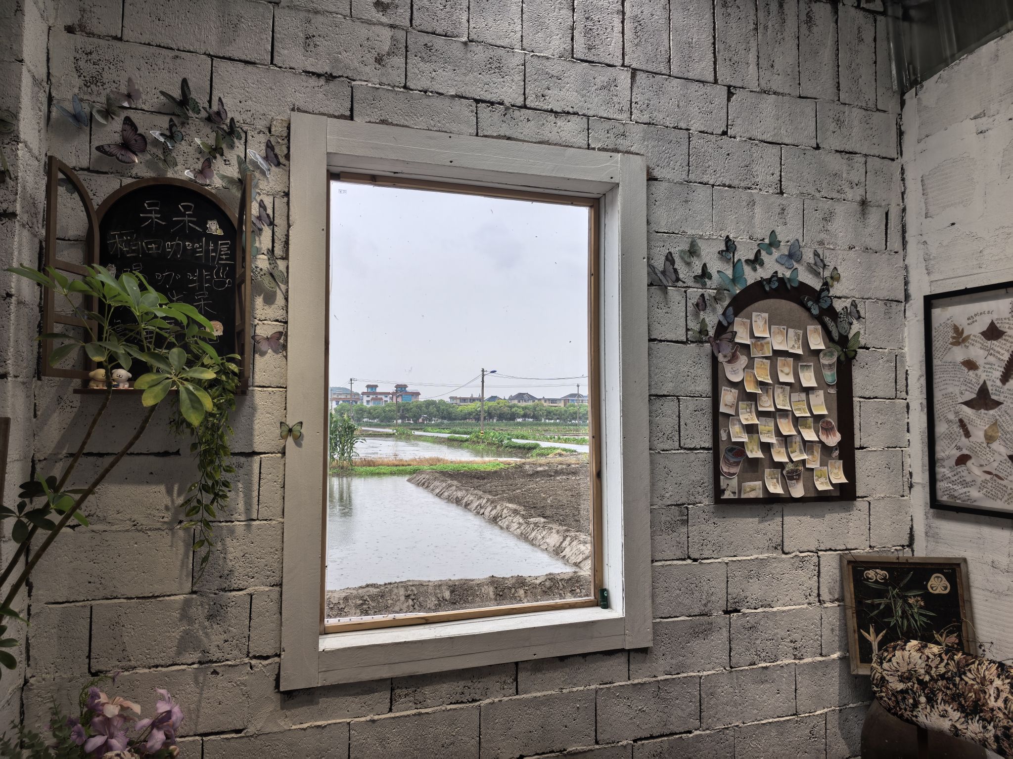 呆呆稻田咖啡屋 · Hangzhou