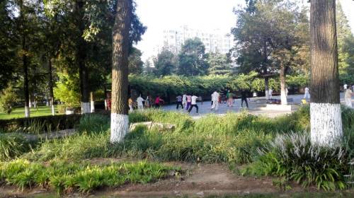 人民公园旅行图片 3